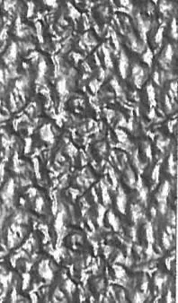JAS-003
