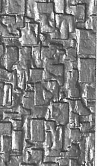 JAS-004
